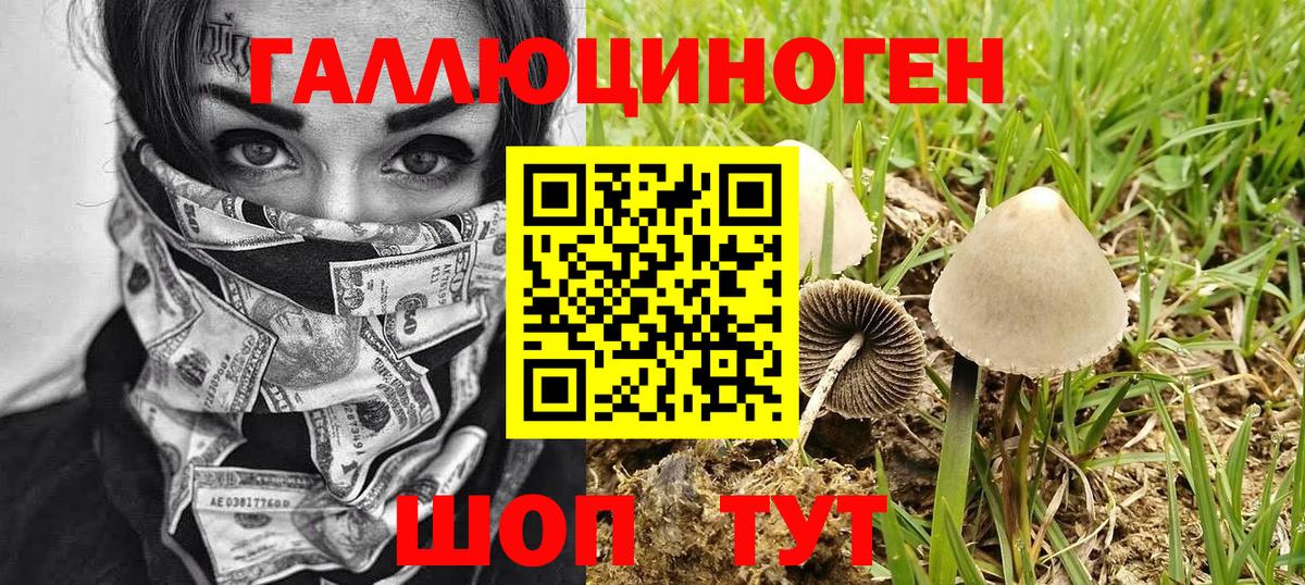 Мелеуз  купить наркотики сайты  Вход с VPN  Галлюциногенные грибы Magic Shrooms 